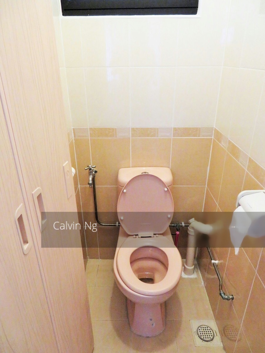 Blk 33 Telok Blangah Way (Bukit Merah), HDB 3 Rooms #135250112
